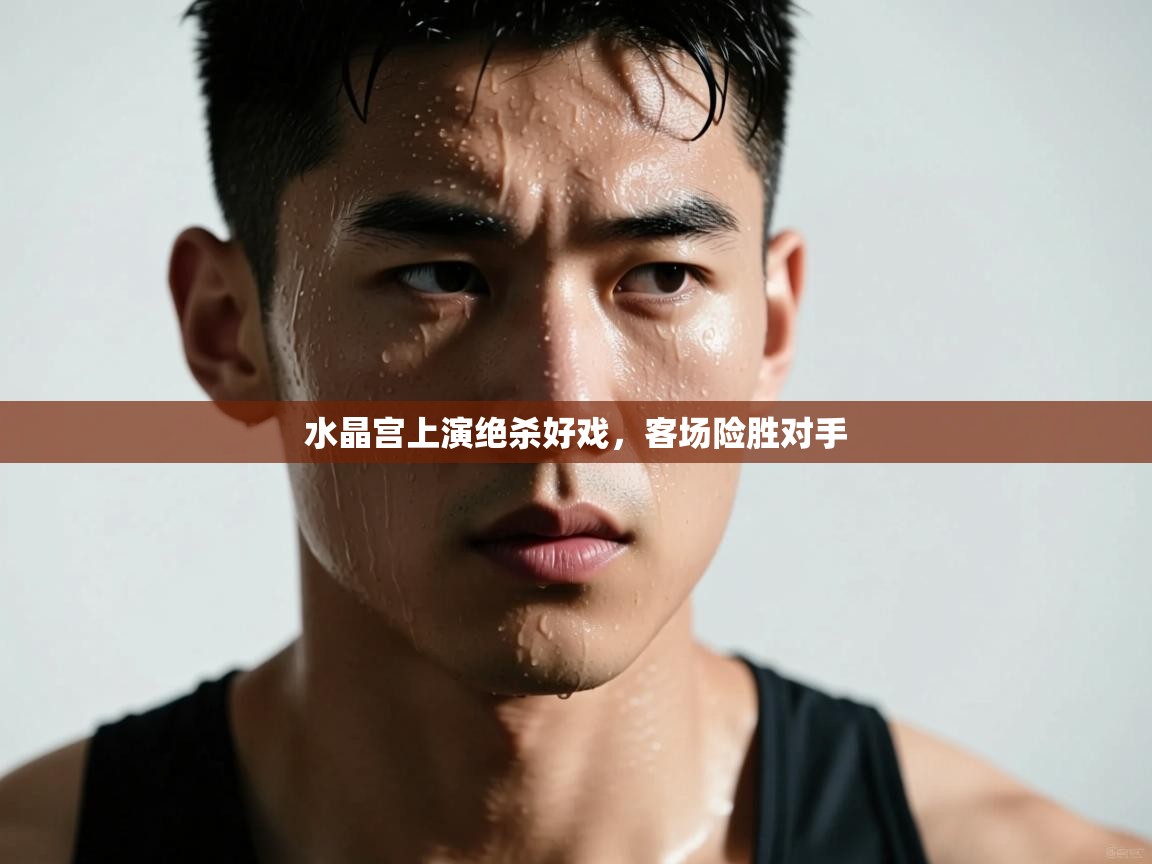 开云体育注册-水晶宫上演绝杀好戏，客场险胜对手