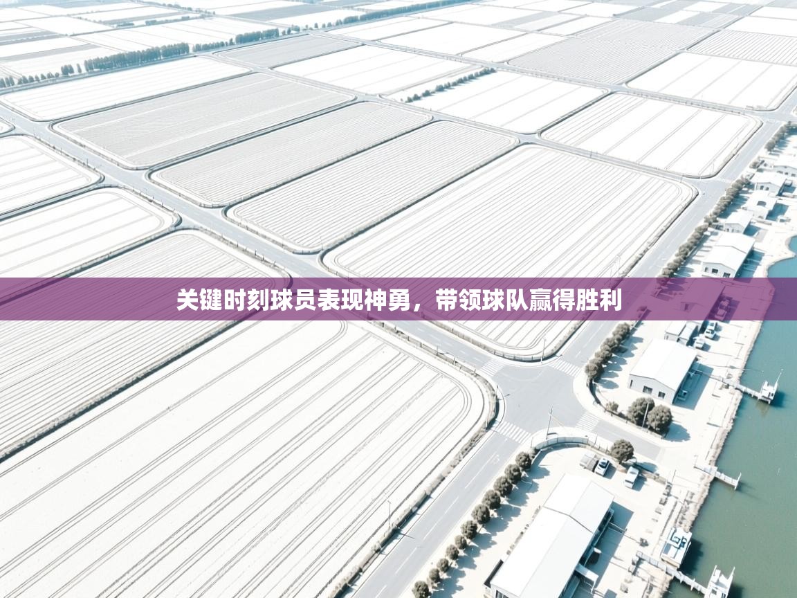 开云体育忘记密码找回-关键时刻球员表现神勇，带领球队赢得胜利