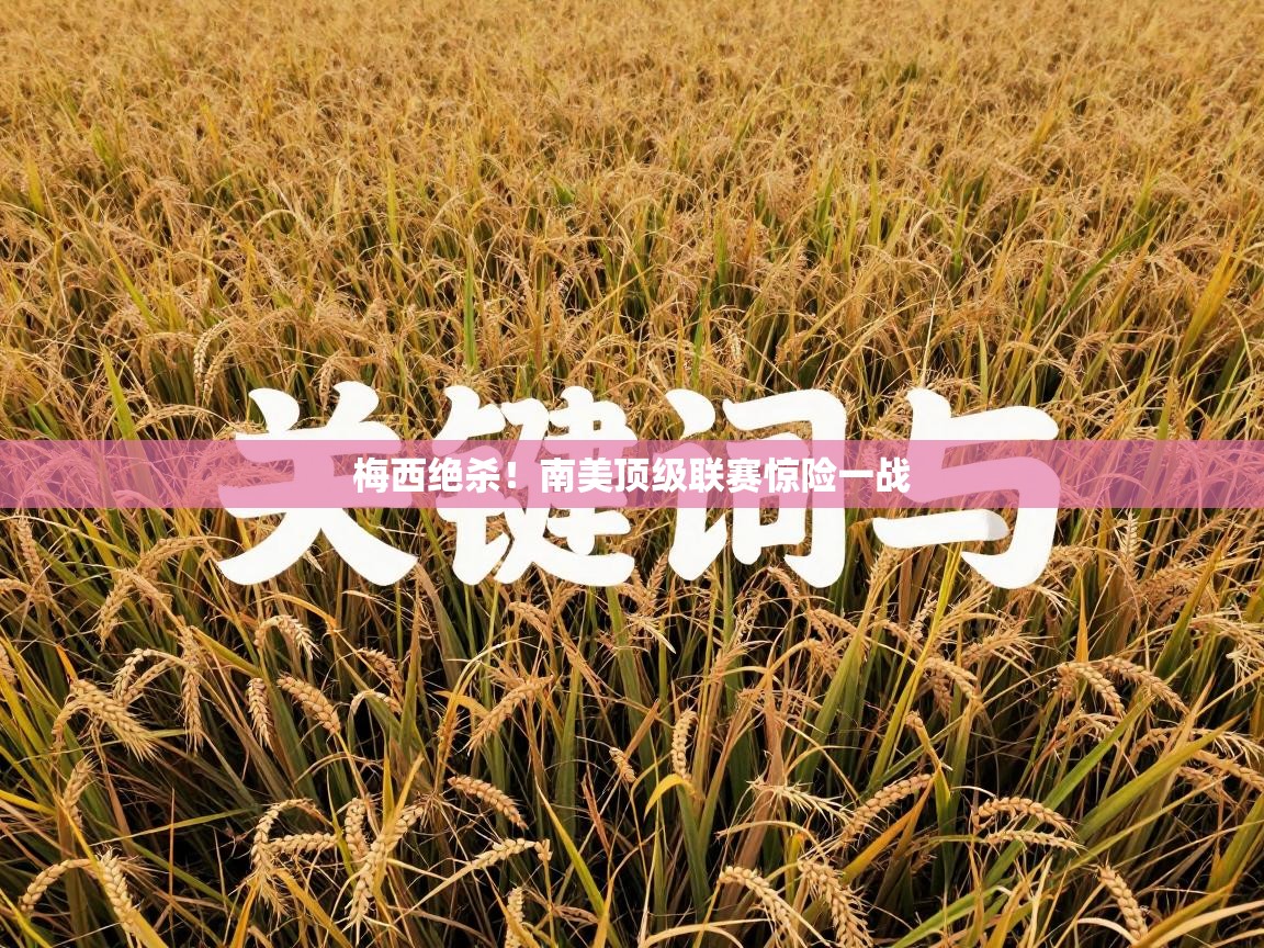 开云体育多语言中文版-梅西绝杀！南美顶级联赛惊险一战  第4张